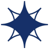 9S-v-12221